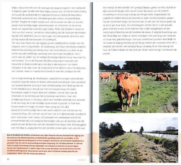 Langs de mooiste diepjes in de Kop van Drenthe 9789460224218 Fokko Bosker LM Publishers Wandelknooppuntenreeks  Wandelgidsen Drenthe