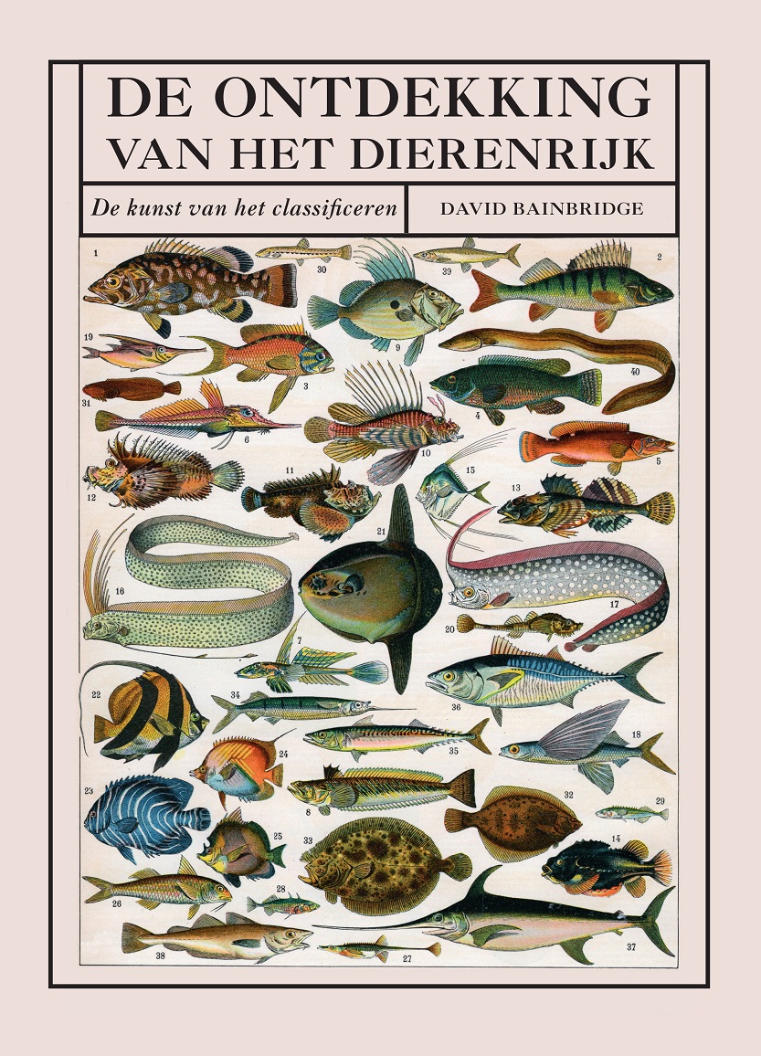 De Ontdekking van het Dierenrijk | David Bainbridge 9789002269257 David Bainbridge Davidsfonds   Historische reisgidsen, Natuurgidsen Reisinformatie algemeen