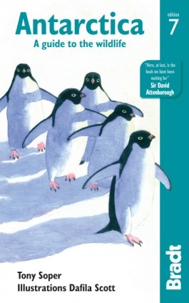 Antarctica Wildlife 9781784770914 Soper Bradt Wildlife Guides  Natuurgidsen Antarctica